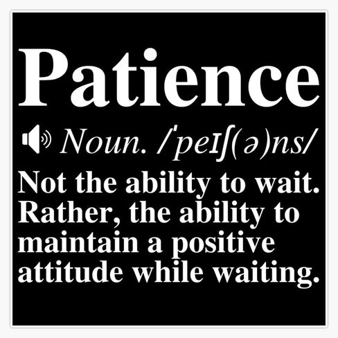 Patience Definition - Insightful, Motivational Quote Sticker Bumper Sticker Vinyl Decal 5" in Kuwait