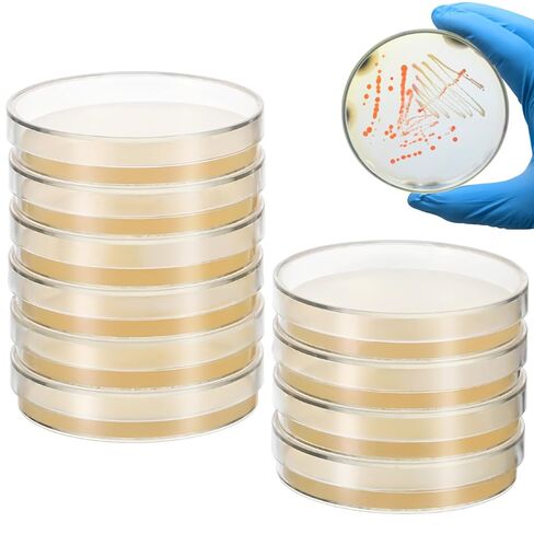 DOITOOL 20 PCS Petri Dishes with Agar Prepoured Agar for Science Project Plates Laboratory Science Experiment Supplies for School Medical Research in Kuwait