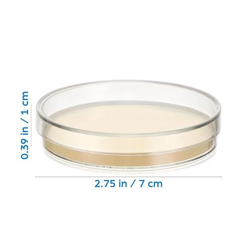 DOITOOL 20 PCS Petri Dishes with Agar Prepoured Agar for Science Project Plates Laboratory Science Experiment Supplies for School Medical Research in Kuwait