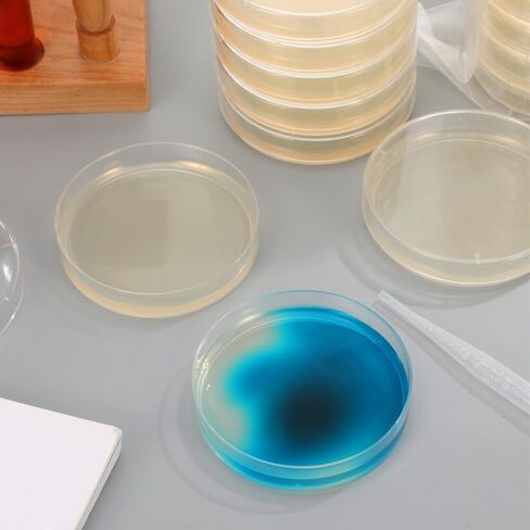 DOITOOL 20 PCS Petri Dishes with Agar Prepoured Agar for Science Project Plates Laboratory Science Experiment Supplies for School Medical Research in Kuwait