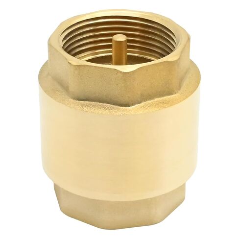 Brass in-Line Spring Check Valve DN32 1-1/4" Female Thread, One Way Back Flow Preventer Check Valve for Garden Hose Most Pumps Irrigation Systems in Kuwait