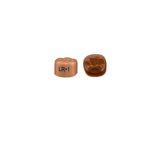 3M Solventum 940341 ​​Unitek تاج الضرس الأول المؤكسد الذهبي رقم 1 السفلي الأيمن 5/Bx in Kuwait