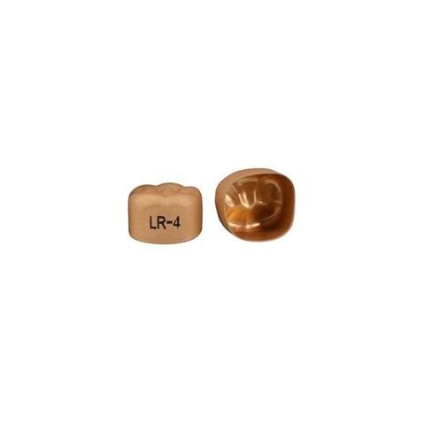3M Solventum 940344 Unitek Crowns Gold Anodized 1st Molar #4 Lower Right 5/Bx in Kuwait