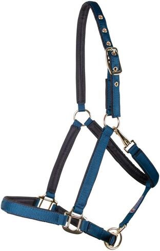 Schneiders Dura-Tech Deluxe Fully Padded 3/4" Nylon Halter for Horses | Double-Ply Nylon Web | Adjustable Fit | Ultra Comfortable for Refined Heads | Color Black | Size Cob in Kuwait
