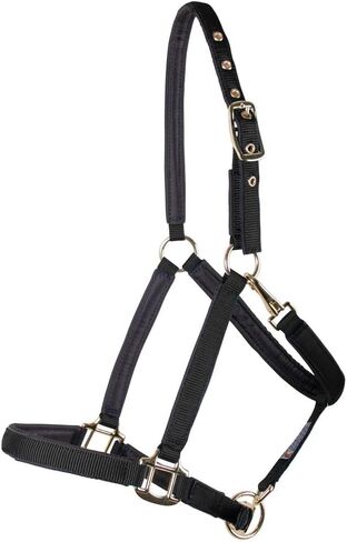 Schneiders Dura-Tech Deluxe Fully Padded 3/4" Nylon Halter for Horses | Double-Ply Nylon Web | Adjustable Fit | Ultra Comfortable for Refined Heads | Color Black | Size Cob in Kuwait