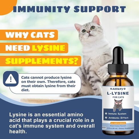 Lysine for Cats - 2 Packs Cat Lysine Drops - Sneezing Treatment, Nasal Relief - Feline Upper Respiratory Infection, Runny Nose, Eye Function - Immune Support - Roast Chicken Flavor in Saudi Arabia