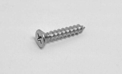 #10 × 1 بوصة مسامير خشبية من صفائح الزنك ذات الرأس المسطح فيليبس (100 حزمة) fHSMS بواسطة Fasteners DP in Kuwait
