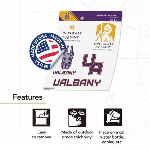Desert Cactus University at Albany Sticker Great Danes UAlbany SUNY Vinyl Decals Laptop Water Bottle Car Scrapbook T2 (Type 2-2) in Kuwait