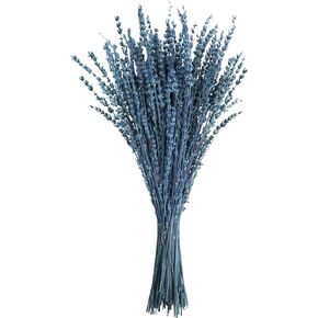 Uieke Dried Lavender Flowers, 16" Dried Lavender Bundles Dried Blue Flowers Preserved Lavender Stems Bouquet for Shower Weeding Home Fragrance Vase Crafts Decor, 50g(1.76oz)