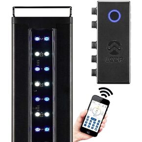 CURRENT USA 48-60" Inch Orbit Marine IC Loop LED Saltwater Reef Marine Aquarium Light with Bluetooth App Control | Wireless Lighting & eFlux Wave Pump Control for Fish Tank (4207)