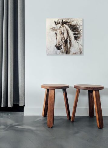 RICHSPACE ARTS Large Horse Prints Wall Art Rustic Farmhouse Pictures for Living Room Country Style Wall Decor Brown 24x24 in Kuwait