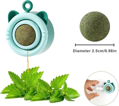 Catnip Balls, Interactive Cat Toys, 360° Rotating Catnip Treats with Storage Lid, Effective for Cleaning Teeth and Enhancing Cat's Excitement (6 PCS) in Saudi Arabia