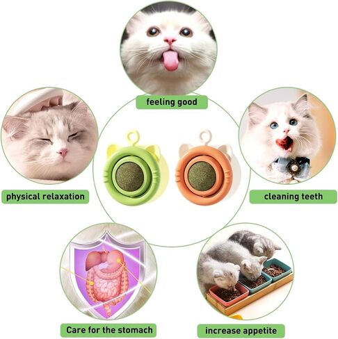 Catnip Balls, Interactive Cat Toys, 360° Rotating Catnip Treats with Storage Lid, Effective for Cleaning Teeth and Enhancing Cat's Excitement (6 PCS) in Saudi Arabia