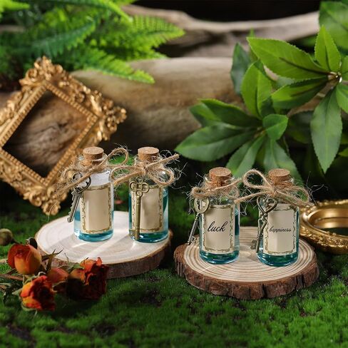 48 Set Potion Bottles for Drinks Small Glass Bottles with Drink Me Tags and Skeleton Keys in Antique Bronze Mini Bottles with Cork Stoppers Wish Bottles for Wedding Favor Baby Shower DIY Craft in Saudi Arabia