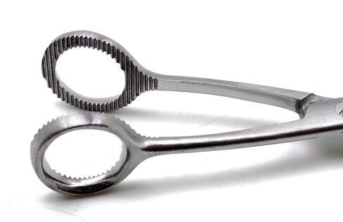 Superior Collins Tongue Seizing Forceps 6.5" End Wide 20mm Stainless Steel Instruments in Kuwait