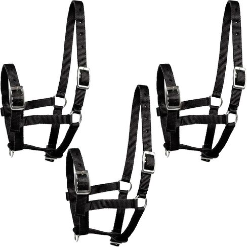 HORZE Adjustable Small Horse Halter for Foals, Colts, Fillies, Shetlands (Pack of 3) in Saudi Arabia