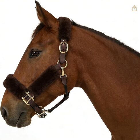 Genuine Wool Horse Halter Cover, 4 PCS Merino Sheepskin Horse Halter Set in Saudi Arabia