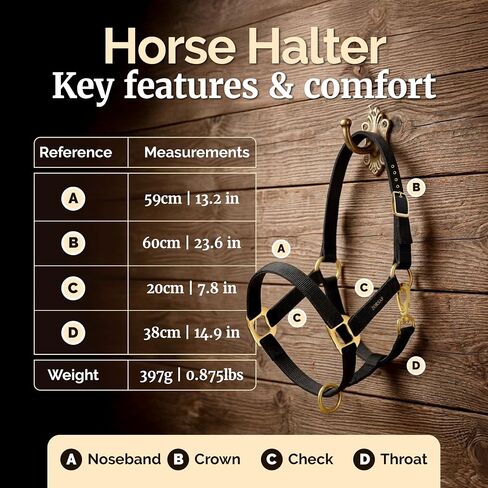 Black Nylon Horse Halter – Non Adjustable – Durable Horse Tack for Everyday Use – Stylish Horse Stuff – Perfect for Horse Lovers & Women. in Kuwait