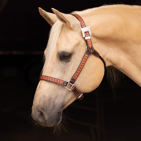 Schneiders Sunburst Ranch Western Show Halter for Horses | Hand-Tooled Leather | Semi-Custom Fit | Silver-Plated Hardware | Elegant Ranch Class Design in Kuwait