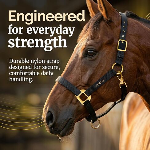 Black Nylon Horse Halter – Non Adjustable – Durable Horse Tack for Everyday Use – Stylish Horse Stuff – Perfect for Horse Lovers & Women. in Kuwait