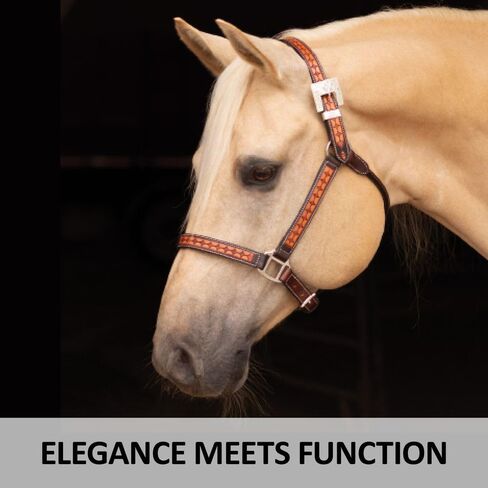 Schneiders Sunburst Ranch Western Show Halter for Horses | Hand-Tooled Leather | Semi-Custom Fit | Silver-Plated Hardware | Elegant Ranch Class Design in Kuwait
