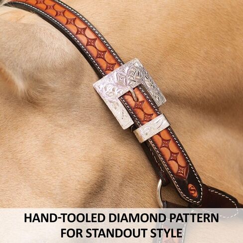 Schneiders Sunburst Ranch Western Show Halter for Horses | Hand-Tooled Leather | Semi-Custom Fit | Silver-Plated Hardware | Elegant Ranch Class Design in Kuwait