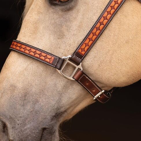 Schneiders Sunburst Ranch Western Show Halter for Horses | Hand-Tooled Leather | Semi-Custom Fit | Silver-Plated Hardware | Elegant Ranch Class Design in Kuwait