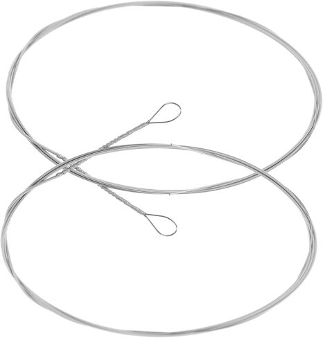 ibasenice 4pcs Dulcimer Strings String Musical Instrument for Dulcimer Accessories and Parts in Kuwait