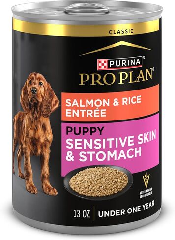 Purina Pro Plan Puppy Classic Dog Dog Food للمعدة الحساسة مع سمك السلمون والأرز - (حزمة من 12) 12 CT. علب in Kuwait