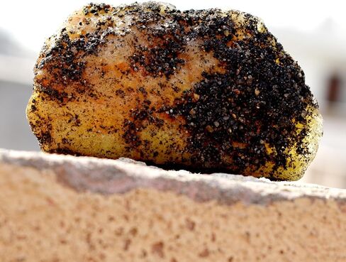 CERTIFIED Natural Rare Sapphire yellow Earth Mined Uncut Rough 247.7 Ct Gemstone in Kuwait