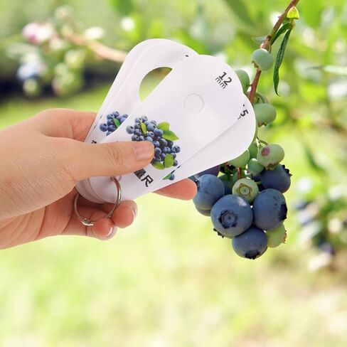 FRCOLOR Blueberry Diameter Measuring Ruler 9 Hole Caliper for Fruit Size Grading, Portable Fruit Diameter Gauge Tool for Cherry and Blueberry Measurement in Kuwait