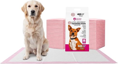 FPN Lavender Pet Scupped Pet Evalet Palcs (24 × 24 بوصة ، حزمة من 40) - وسادة ممتازة فائقة الجفاف ، جافة ، مقاومة للتسرب للجرو والكلاب والحيوانات الأليفة الصغيرة | حماية الكلب 5 طبقات مع التهدئة in Kuwait