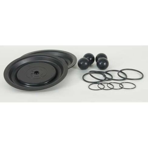 Pump Repair Kit,Fluid,1 in,for 3HJW5 in Kuwait