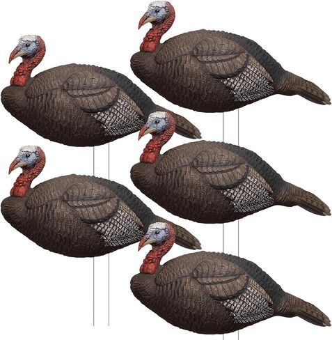 Novabright 5 Pcs 2D Turkey Decoys Hunting Stake-Lightweight Turkey Decoys Collapsible Stakes-Portable Pole for Replacement Stake in Saudi Arabia