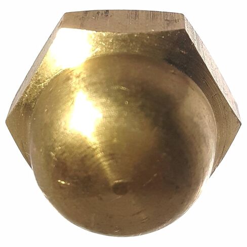 5/16-18 Hex Cap Nuts, Solid Brass, Grade 360, Commercial, Plain Finish, Quantity 10 By Fastenere in Kuwait