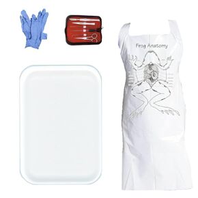Anatomy Lab Dissection Kit with Scalpel Dissecting Tools PPE for Anatomy Biology Students, Medium Tray in Kuwait