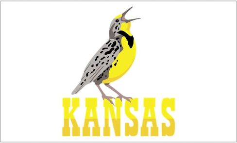 Kansas Meadowlark Decal Vinyl Bumper Sticker 5" in Saudi Arabia