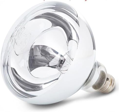 Heat Lamp Bulb 250 Watts Infrared White Light for Food Service (Dia120x142mm) in Kuwait