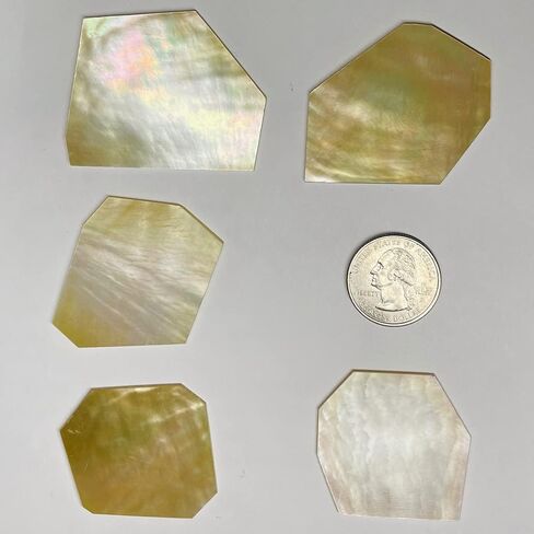 World of Shell™ Inlay Supplies 4 oz Gold White Mother of Pearl Blanks .040" Thickness Perfect for Guitars, Banjos, Mandolins, Jewelry, Woodworkers, Luthiers, DIY, Professionals and Hobbyists in Saudi Arabia