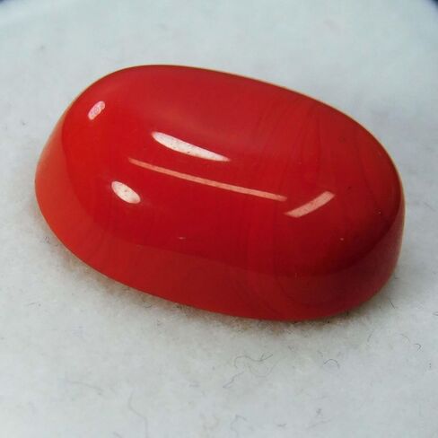 Certified 10.12 Ct Natural Italian Orange Coral Gemstone Cabochon Oval For Ring in Kuwait