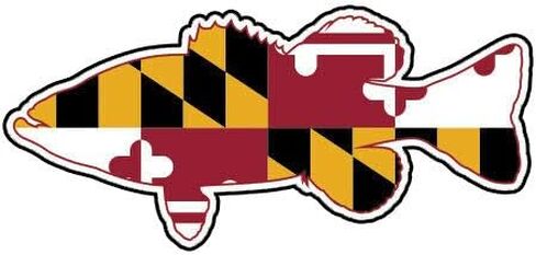 Maryland State Flag Bass Sticker Premium Vinyl Largemouth Sport Fishing Fish MD Truck Car Decal Vinyl Bumper Sticker Sticks to Any Surface 5" in Saudi Arabia
