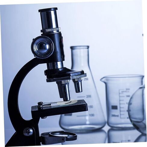 TIDTALEO 8pcs Heat-Resistant Laboratory Watch Glass Thickened Round Evaporating Dishes for Chemistry Experiments Transparent Glassware for School Lab Teaching in Kuwait