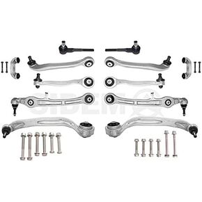 SIDEM 37870 Track Control Arm in Kuwait