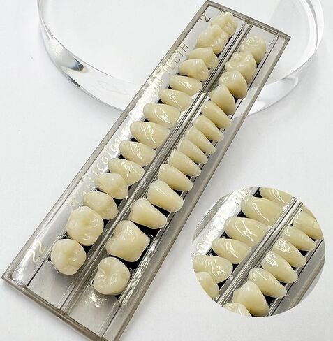 28pcs False Teeth Fake Teeth Synthetic Resin Upper Lower Denture Teeth, Moldable Thermal Fitting Beads, DIY Party Horror Makeup Dental Tooth, 22A2 in Kuwait