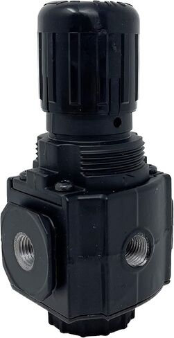 R73G-3AK-RMN : Norgren Excelon R73G Series, 3/8 PTF Ports, knob Adjustment, Relieving Pressure Regulator, Without Gauge, 5 to 15 in Kuwait