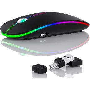 TENMOS T16 LED Wireless Mouse, 4800 DPI USB C Rechargeable Wireless Mouse with PAW 3212 Optical Sensor and 2 in 1 USB & Type C Receiver, Silent Ergonomic 2.4G Computer Mouse for PC, Mac, Laptop -Black