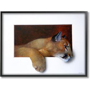 Stupell Industries Wild Cougar Resting Head لوحة الوهم المثيرة للاهتمام، تصميم بواسطة Alan Weston، إطار أسود، 20 × 16