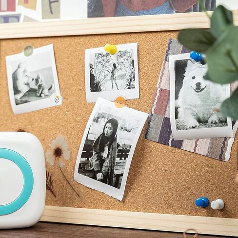 9 Rolls Premium Mini Printer Paper, Regular Thermal Paper Rolls for Mini Pocket Thermal Printer, Receipt Thermal Printer - 57mm x 5.8m, Diameter 25mm, Smooth,Flexible, 10 Years Duration in Kuwait