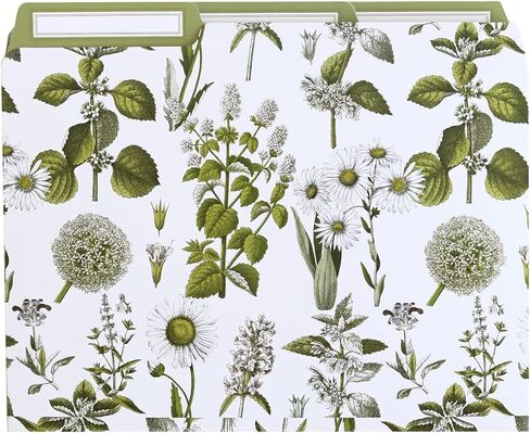 Anna Griffin Lillian Floral File Folders - 12 Elegant Letter Size Folders with 3 Tab Dividers, Perfect for Organizing Documents in Style at Home or Office in Saudi Arabia