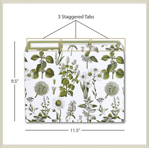 Anna Griffin Lillian Floral File Folders - 12 Elegant Letter Size Folders with 3 Tab Dividers, Perfect for Organizing Documents in Style at Home or Office in Saudi Arabia